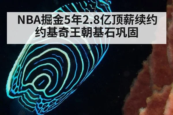 NBA掘金5年2.8亿顶薪续约约基奇王朝基石巩固