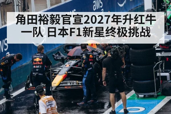 Red Bull F1 team