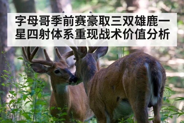字母哥季前赛豪取三双雄鹿一星四射体系重现战术价值分析